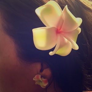 🌺Matching Hawaii Flower Earrings & Hairclip Set🌺